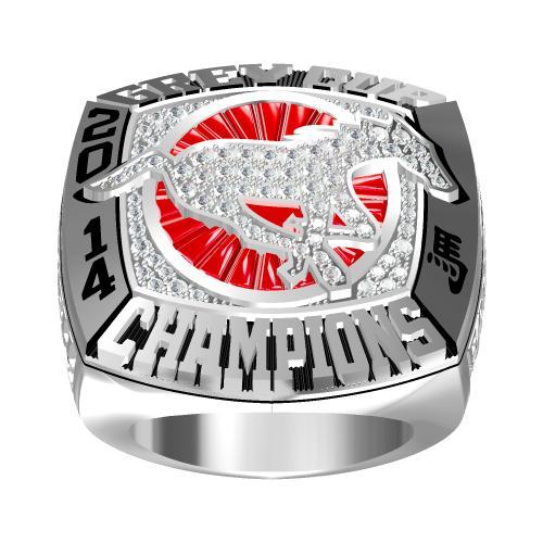 2014 Calgary Stampeders 102nd Grey Cup CFL Championship Ring